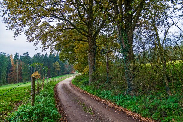 Thumbnail: 28_JA14198 Wintersoln.jpg